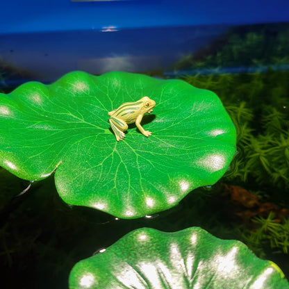 1PC Artificial Lotus Leaves 3 Sizes Realistic Plastic Floating Lily Pads for Pond Aquarium Pool Fish Tank Garden Decor Accent, Middle