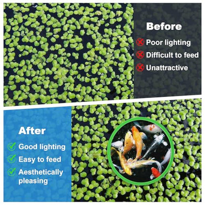 10pcs Fish Feeding Rings Set, Floating Aquarium Plant Corral, Round Feeder Ring Floating Plant Ring, Fish Tank Aquarium Accessories for Betta (Green)