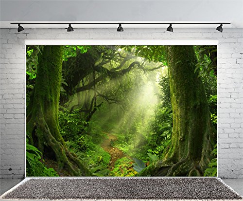 Enchanted Forest Backdrop 7x5ft Green Trees Outdoor Jungle Forest Backdrops for Photography Fairytale Nature Rainforest Sunset Party Decorations Background Kids Baby Photo Props Vinyl