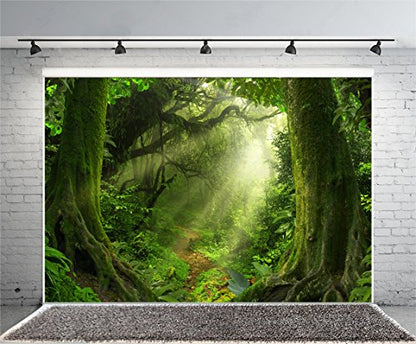 Enchanted Forest Backdrop 7x5ft Green Trees Outdoor Jungle Forest Backdrops for Photography Fairytale Nature Rainforest Sunset Party Decorations Background Kids Baby Photo Props Vinyl