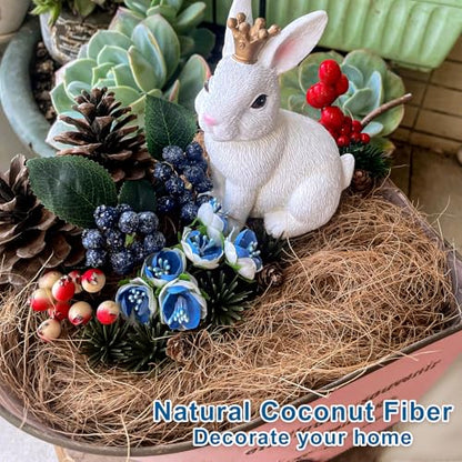 Long Coconut Husk Fiber Mulch Silk for Orchids Clean Coconut Shell Moss Covering 0.66 Pounds