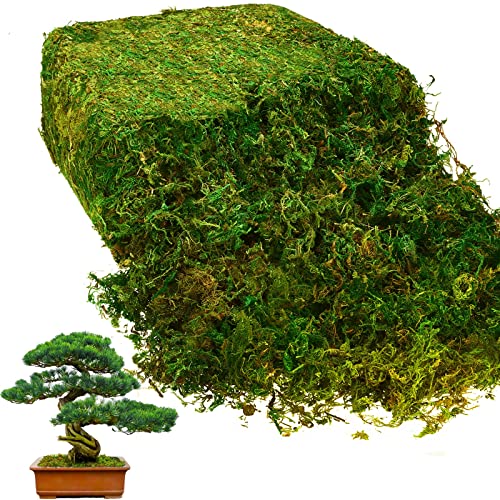 Giegxin 28oz Artificial Moss for Crafts Moss for Plants Indoor Natural Green Sheet for Plant Flower Grass Floral for Garden Lawn Crafts Wedding Decor Flower Filler