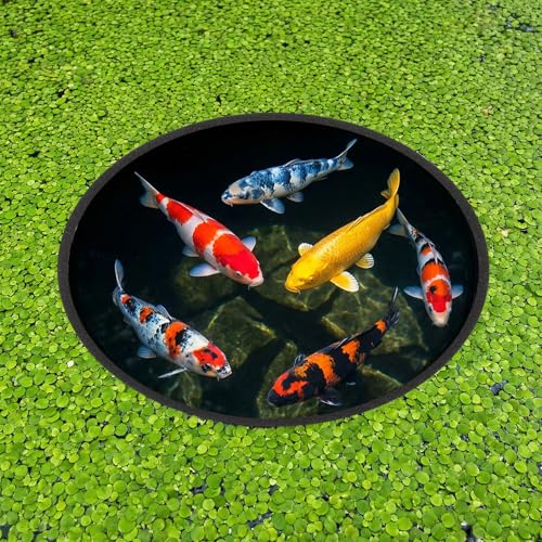 JJUNW 10 Pcs Aquarium Floating Plant Corral, Fish Feeding Ring Fish Tank Aquarium Floating Plants Barrier, 5 Sizes of Floatings Plant Ring Round for Fishs Tank, Plants Accessories(10 pcs)