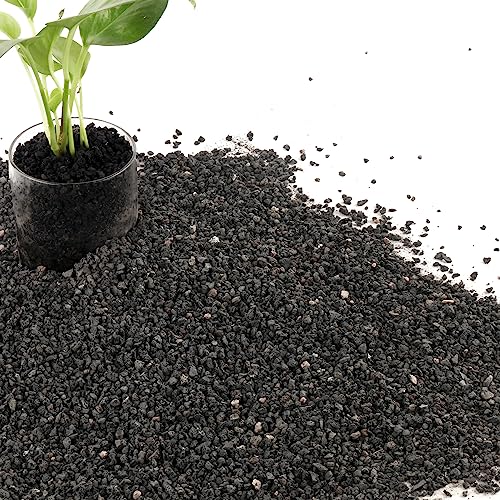 7LB Black Lava Rocks for Plants, Volcanic Rock Horticultural Lava Rock Soil for Landscaping Plants Drainage, Small Lava Rock Gravel for Succulents, Bonsai, Vase Fillers, Top Dressing - color: Black, size: 7lb