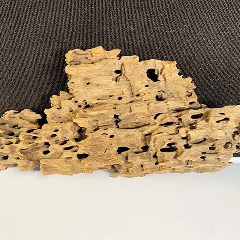 Fish Tank Natural Porous Wood Driftwood Ornament for Aquarium Decoration Hermit Crabs Shrimp Fish Aquarium Accessories… (10-15cm)
