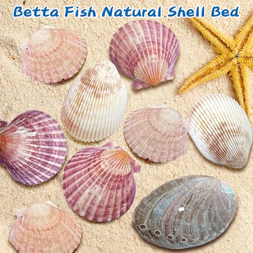 VCEPJH Betta Hammock with Suction Cups Betta Resting Spot 3 Pcs Shell Bed Toys for Aquarium Small Fish Natural Spawning Grounds Breeding Fish Tank Accessories Decorations