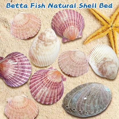 VCEPJH Betta Hammock with Suction Cups Betta Resting Spot 3 Pcs Shell Bed Toys for Aquarium Small Fish Natural Spawning Grounds Breeding Fish Tank Accessories Decorations