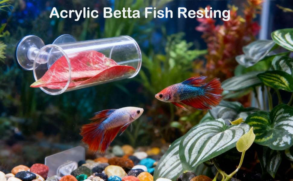 8 pcs Betta Fish Enrichment Toys Fish Exercise Rings Floating Betta Hide Shrimp Cave Tank Hammock Feeder Mirror Resting Spot for Small Fish Training Feeding Rings