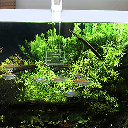 Sky Restaurant Aquarium Fish Feeder - Prevent Food Spilling, Easy to Clean, Betta & Dwarf Frogs Feeding(S)