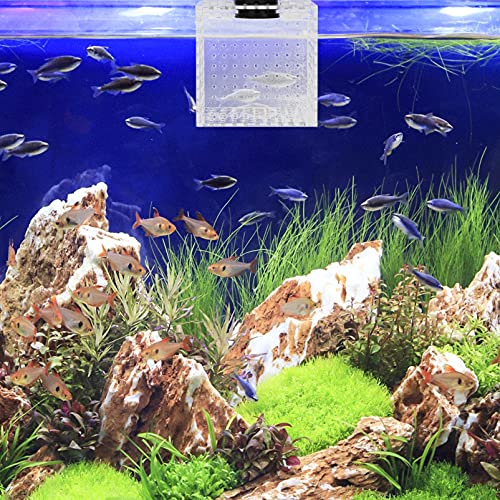 balacoo 1pc Fish Breeding Isolation Box Aquarium Hatching Container for Smooth Attachment for Fish Fry