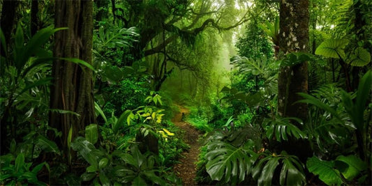 YongFoto Reptile Tank Terrarium Background 30x12 inch Tropical Rainforest Jungle Enchanted Forest Woods Old Tree Reptile Habitat Background Bearded Dragon Fish Tank Aquarium Polyester Backdrop - color: Green-4, size: 30x12in/75x30cm