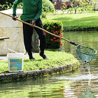 Pond Cleaner & Clarifier - Outdoor Pond Treatment to Remove Muck & Sludge with Natural Pond Bacteria for Clear Water in Outdoor Ponds, Safe for Live Koi Fish & Water Plants - 8lbs, Treats 760k Gallons