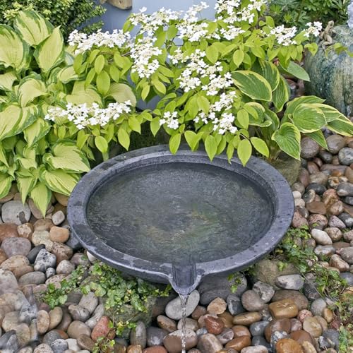 5lbs River Rocks for Landscaping, 2"-3" Decorative Garden Stones for Plants, Flower Pots, Vase, Walkways, Yard, Natural Rocks for Aquarium, Fish Tank - size: 2-3 Inch