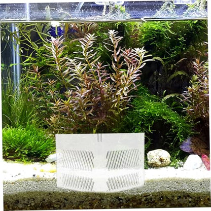 Acrylic Fish Tank Isolation Box Divider Tray for Clean Water Aquarium Partition Pump Guards