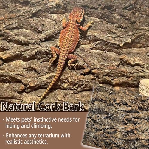 1PCS Thickened Cork Terrarium Bark Background, 11.8"x7.8" Natural Cork Bark for Reptiles Bearded Dragon Climbing Mat Reptile Climbing Wall Terrarium Background Decor for Lizard Gecko Snake