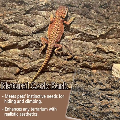 1PCS Thickened Cork Terrarium Bark Background, 11.8"x7.8" Natural Cork Bark for Reptiles Bearded Dragon Climbing Mat Reptile Climbing Wall Terrarium Background Decor for Lizard Gecko Snake