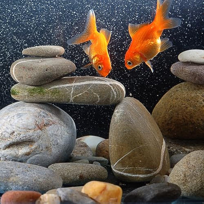 5lbs River Rocks for Landscaping, 2"-3" Decorative Garden Stones for Plants, Flower Pots, Vase, Walkways, Yard, Natural Rocks for Aquarium, Fish Tank - size: 2-3 Inch