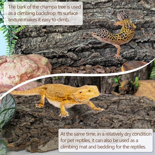 Cork Terrarium Background 11.8x7.9in 4PCS Natural Reptile Cork Bark Flats Terrarium Board Bearded Dragon Climbing Wall Mat Tank Decor for Lizard Chamelon Snake Turtle Spider Crested Gecko - size: 4PCS-11.8x7.9in