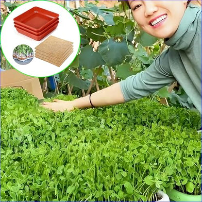 Microgreens Growing Trays Kit –3 Pack (12 x 12) in MicroGreen Grow Trays with 4 Hemp Fiber Grow Mats, 10 x 10 x 1.8 Inch Seed Starter Trays for Growing Microgreens, Indoor Gardening - size: MIX