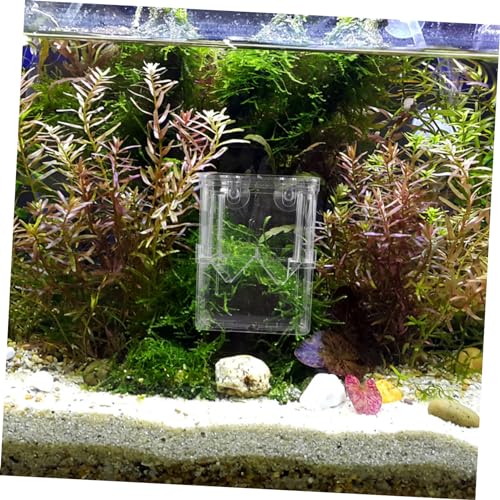 ORFOFE Separation Container 2pcs Fish Tank Nursery Box Guppy Breeding Box Fry Hatchery Incubator Practical Design