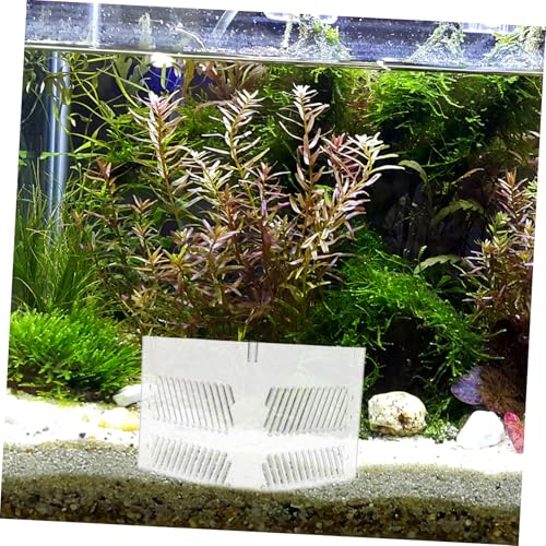 Kisangel Aquarium Partition Plate Acrylic Divider for Fish Tanks Sand Isolation and Dual Hole Design Easy Installation Versatile Aquarium Accessory for Clean and Healthy Environments