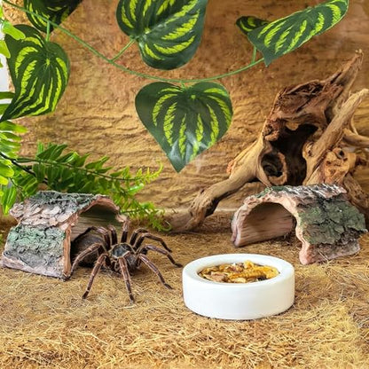 2 Pack Small Betta Log Resin Hollow Tree Trunk Ornament, Aquarium Hideout Reptile Cave Tarantula Hide Terrarium Tank Decor for Fish Shrimp or Small Reptile Scorpion Spider Hermit Crab