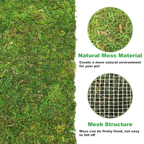 Reptile Carpet, Natural Moss Mat for Terrarium, Bearded Dragon Tank Flooring Green Substrate Liner for Leopard Gecko Hermit Crab Lizard Tortoise (47.24" X 11.81")