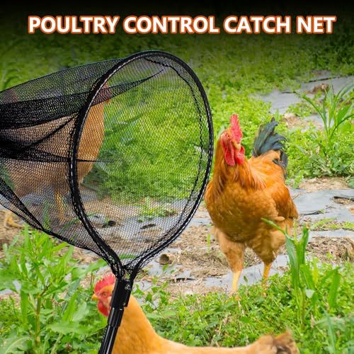 Catch Net Small Animal Control Net Poultry Catching Trap Tool for Cat, Chicken, Duck, Goose, Fish, Bird and Others (43~78" Telescoping Handle with 20.5" Net Opening) - color: Advanced Grey - 20.5inch Net Opending