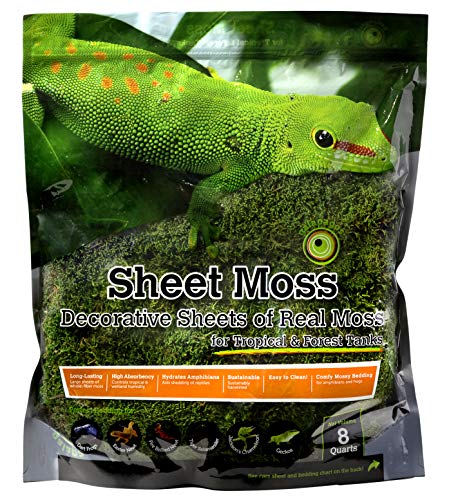 Galápagos (05248) Sheets of Real Moss, 8-Quart, Natural,Green - size: 8 quarts