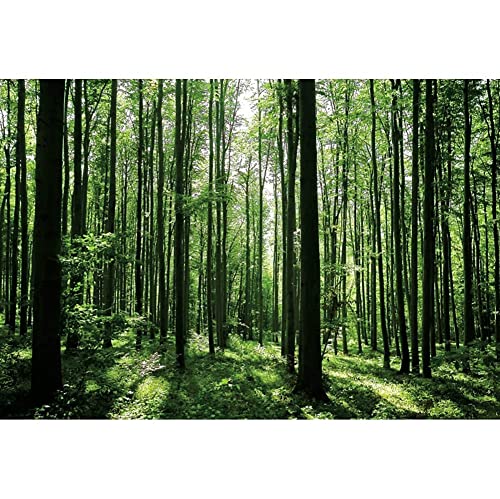 Jungle Forest Photography Backdrop 8x6ft Green Rainforest Sunlight Grassland Wonderland Nature Landscape Background for Spring Adventure Camping Hiking Theme Party Decoration Banner Photoshoot Prop - size: 8x6ft