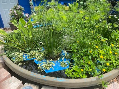 BEEMATS ECOISLE Floating Hydroponic Growing System, 7-Plant Capacity, Hexagonal Design with Aerated Pots, Water Garden Filter (7)