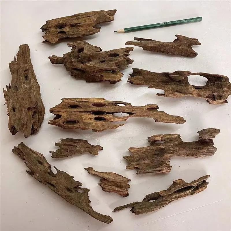 Fish Tank Natural Porous Wood Driftwood Ornament for Aquarium Decoration Hermit Crabs Shrimp Fish Aquarium Accessories… (10-15cm)