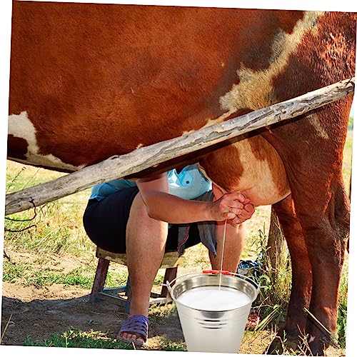 1Pc Durable Stainless Steel Water Bucket with Lid Multi Purpose Storage Container for Household Use Easy to Clean Comfortable Handle