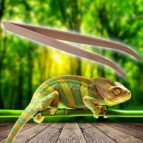 Feeding Tongs,11in Feeding Tweezers Eco-Friendly Bamboo Long Curved Tweezers Lightweight Curved Forceps Nipper Perfect for Reptiles