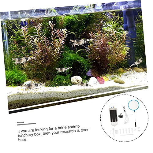 FRCOLOR 1set Shrimp Hatching Container for Shrimp Incubation Lightweight Aquarium Breeder Box