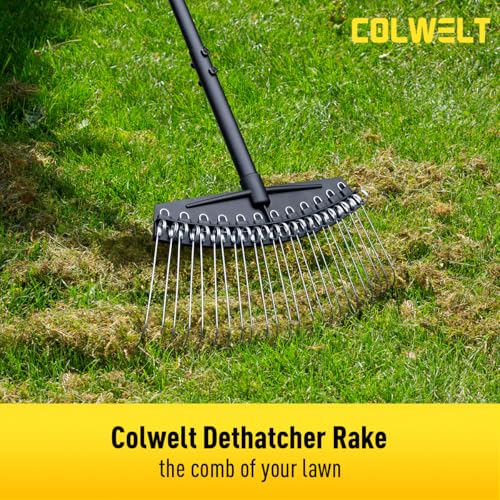 Thatch Rake, Dethatcher Rake with Thin, Curved Spring Steel Tines, Dethatching Thatching Rake for Lawns with 61’’ Steel Handle, Lawn Tine Rakes for Pine Needles, Dead Grass, Garden Debris