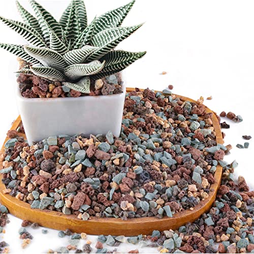 2.4lb Mix Horticultural Lava Rock Pebbles Pumice Potting Soil Amendment Succulent Cactus Bonsai Gritty Rock Decorative Gravel Plant Drainage Volcanic Rock for Aquarium Fairy Gardening Top Dressing