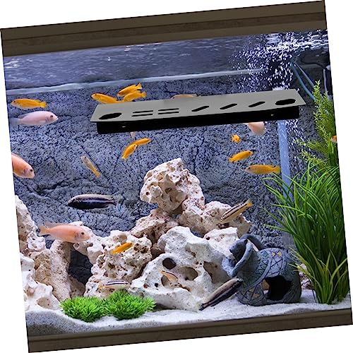 Toddmomy Aquarium Maintenance Tool Holder Wall-Mounted Organizer for Tweezers Scissors and Tank Accessories Stainless Steel Storage Rack for Fish Tank Cleaning