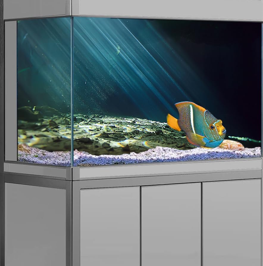 36X20 Inches Fish Tank Aquarium Background, 3D Black Sunshine Underwater World Background Decor, Undersea Theme Durable Polyester Background with 8 EVA Double-Sided Tapes - size: 36X20in/90X50cm