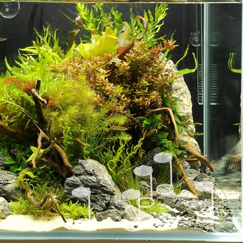 5pcs Humidifier Splash Guards Water-Splashing Design for Rockery Fish Tank Use Plastic Splash Guard Cover for