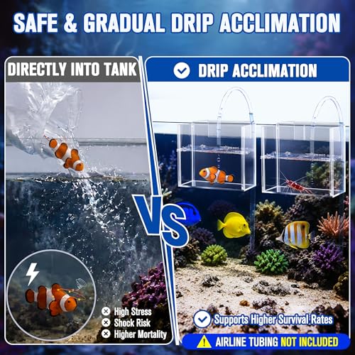 2 Pack Drip Acclimation Container for Fish, Coral & Shrimp, Hanging Aquarium Acclimation Box, Clear Acrylic Specimen Container, for Drip System, Saltwater & Freshwater Aquariums, Small