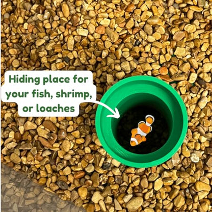 REEFSHAPE Pipe Design Aquarium Viewing Tunnel | Underground Fish & Shrimp Corner Hideout with Pipe Entrance | Made in USA (Green, Single Pipe) - color: Green, Single Pipe