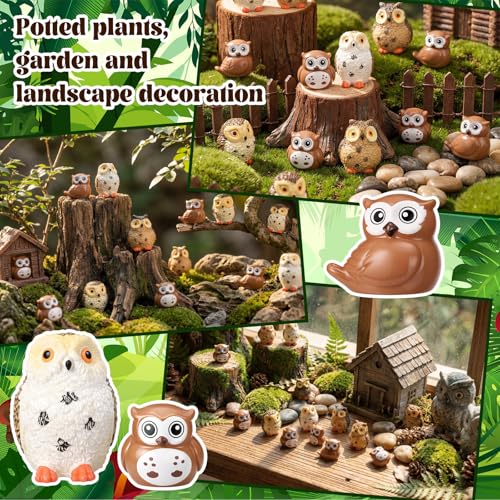 Wesiti 40 Pcs Resin Mini Owl Figurines Owl Miniature Figurines Bulk Mini Resin Statues for Summer Miniature Garden Accessories Micro Landscape Plant Pots Bonsai Fairy Decorations (Elegant Style) - style: Elegant Style