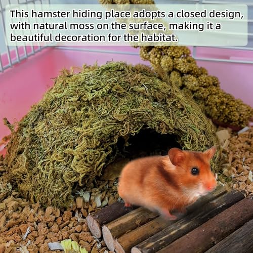 2Pcs Hamster Hideout, Hamster House, Natural Mossy Coconut Hut, Pet Hiding House, Small Animal Cage Accessories for Mouse Mice Rat Guinea Pigs Reptiles - size: 2 PCS