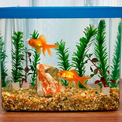 Abaodam 20pcs Water Plant Fixed Ring Fish Tank Live Plants Decor Ring for Fish Tanks Decorative
