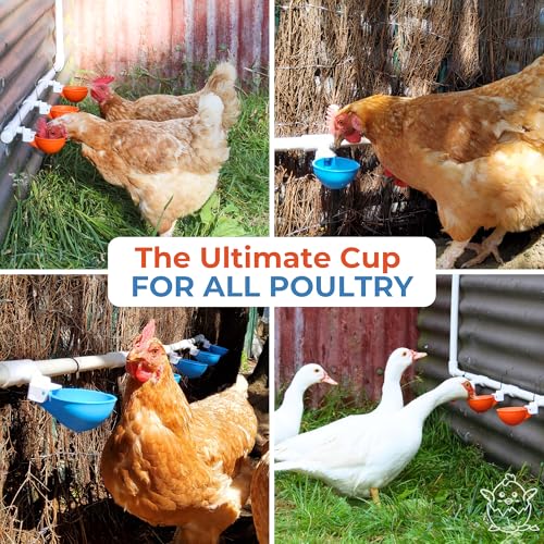 Lil'Clucker Large Automatic Chicken Waterer Cups with 1/2" PVC Tee Fittings - Chicken Water Cups, Chicken Water Feeder, for Chicks, Duck, Goose, Turkey - Poultry Waterer Feeder Kit (Orange, 5-Pack) - size: 5-Pack