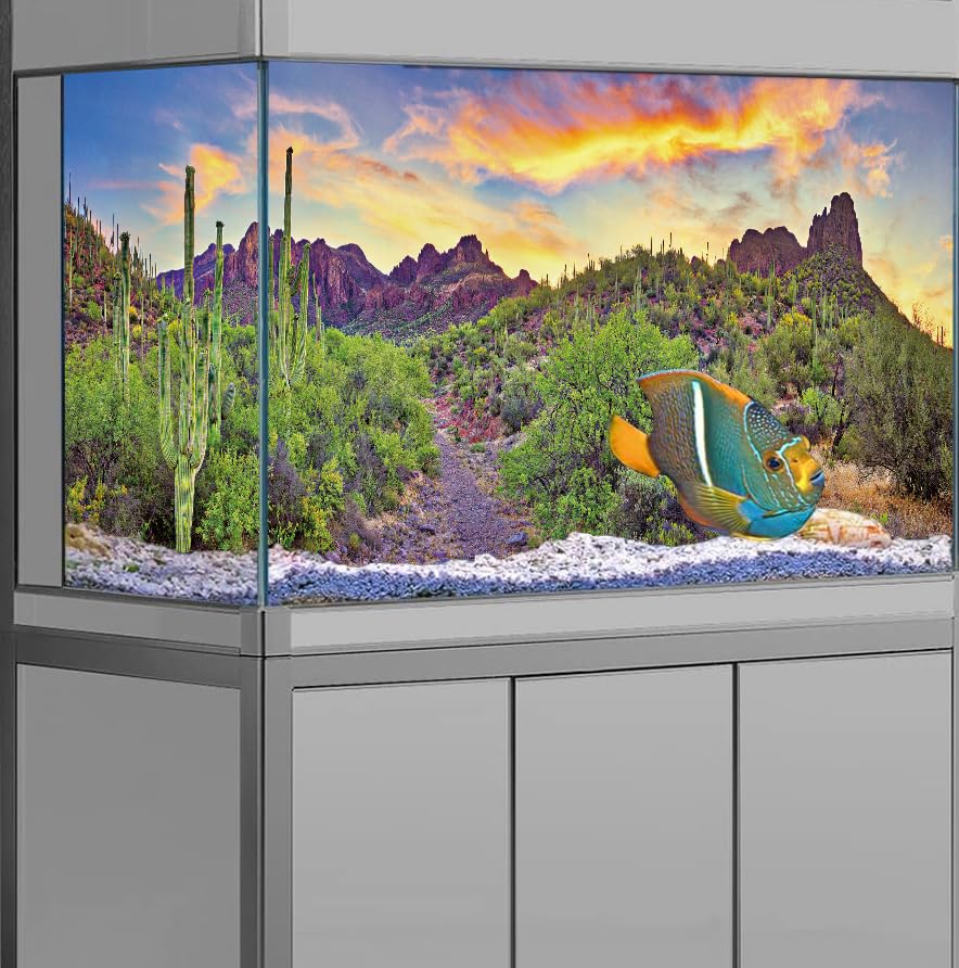 Reptile Habitat Background Rock Blue Sky Oasis Cactus Sunset Desert Terrarium Background 36X18IN with 8 EVA Double-Sided Tape - size: 36X18in/90X45cm