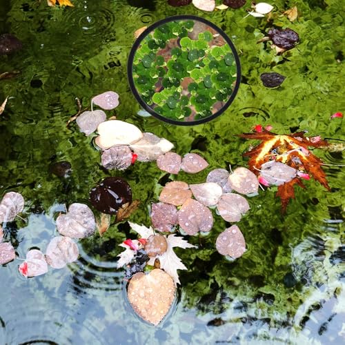 Fish Feeding Ring, 5 Sizes of Reusable Aquarium Feeding Ring Black Washable Aquarium Floating Plant Corral for Keeping Floating Plants in Place