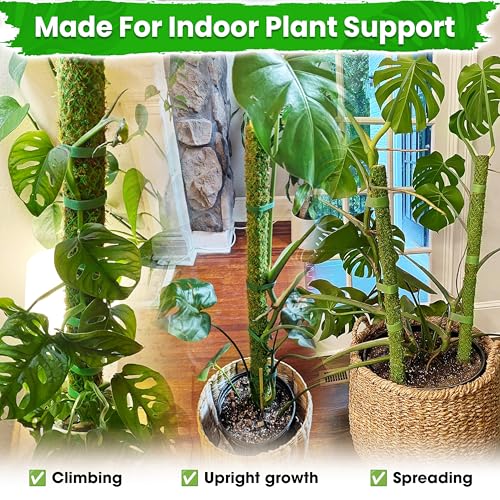 2 Pack 25’’ Mesh Moss Pole for Climbing Plants, Natural Moss Pole Monstera Plant Support, Real Moss Poles for Plants Indoor, Moss Stick for House Plants, Moss Stakes for Climbing Plants