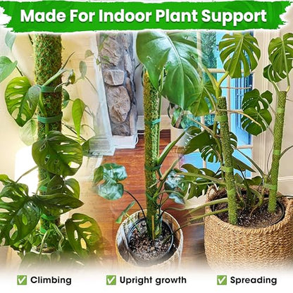 2 Pack 25’’ Mesh Moss Pole for Climbing Plants, Natural Moss Pole Monstera Plant Support, Real Moss Poles for Plants Indoor, Moss Stick for House Plants, Moss Stakes for Climbing Plants